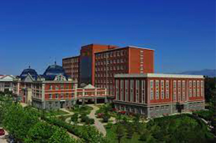 Northeastern university of china